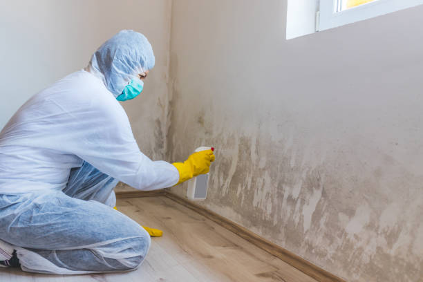 Mold inspector in Purcellville performing thermal imaging